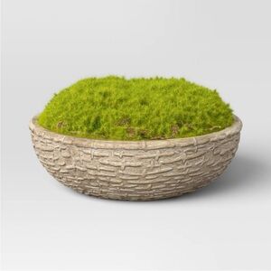 STUDIO MCGEE NWT faux moss in textured pot -green -3.5”